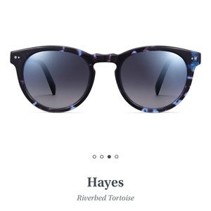 COPY - Warby Parker Hayes Sunglasses
